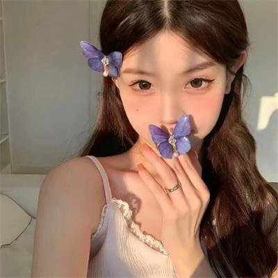 乌龙派出所特别篇2016：THEFINAL两津勘吉最后的一天