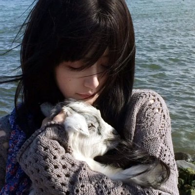 侯门老祖宗重整家族荣耀